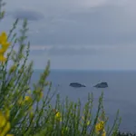 Villa La Pace *