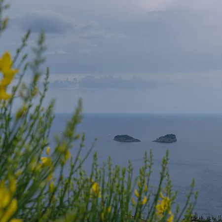 Вилла La Pace *