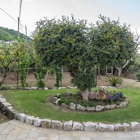 La Pace Villa Sant'Agnello