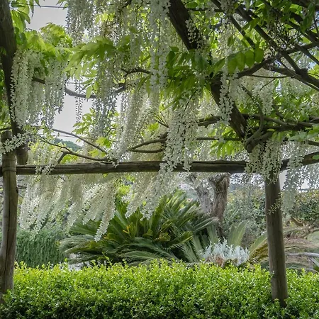 Вилла La Pace *