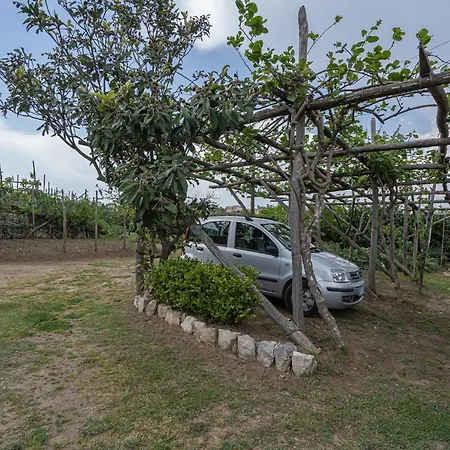 Villa La Pace